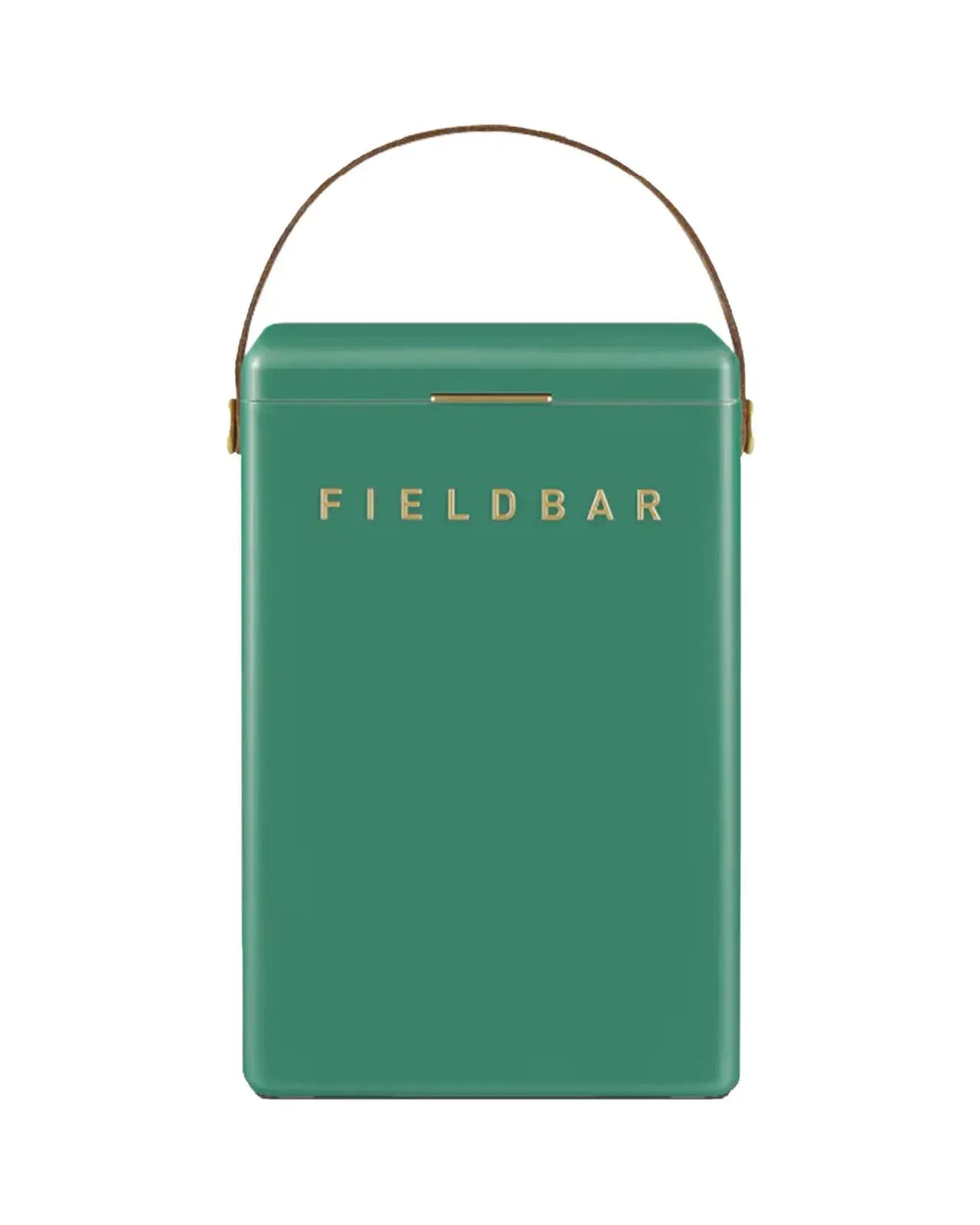 Fieldbar køletaske - Parsian green
