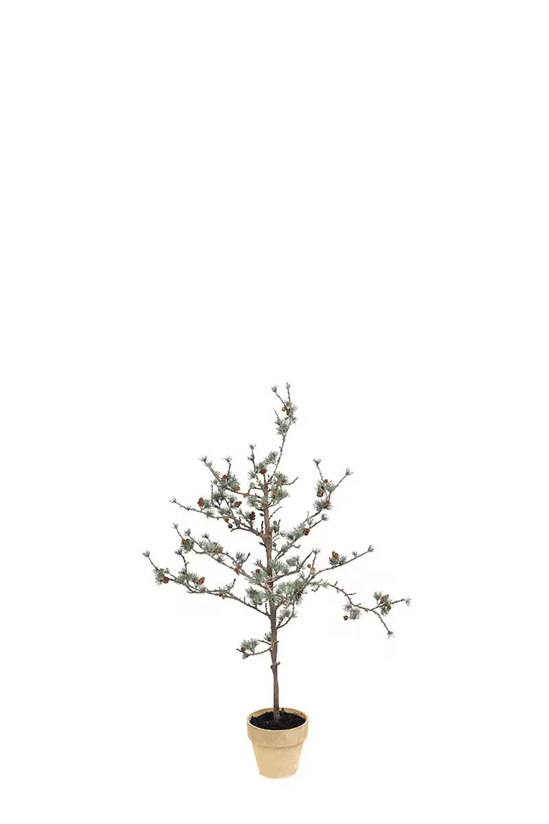 Lærketræ 100 cm