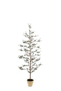 Lærketræ 180 cm