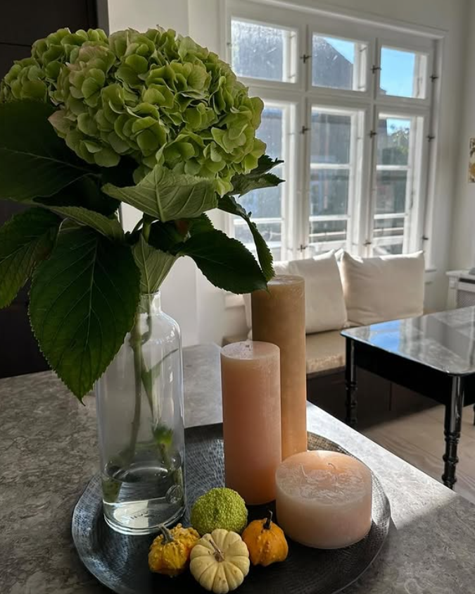 Skærmbillede 2025-05-27 130834